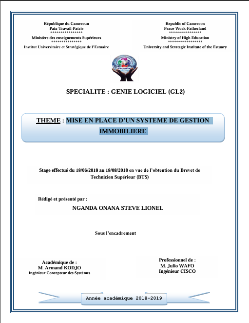 MISE EN PLACE D’UN SYSTEME DE GESTION   IMMOBILIERE